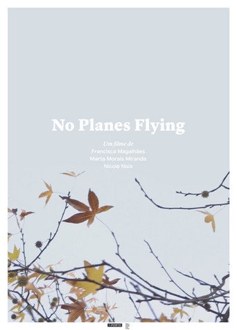 Movie poster for No Planes Flying