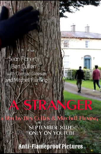 Movie poster for A Stranger (2022)