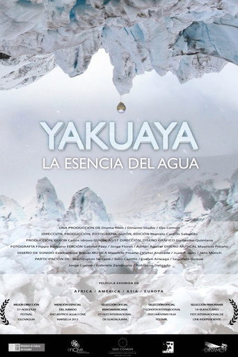 Movie poster for Yakuaya, la esencia del agua (2012)