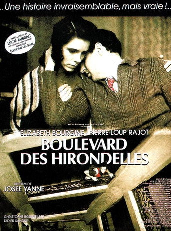 Boulevard des hirondelles poster