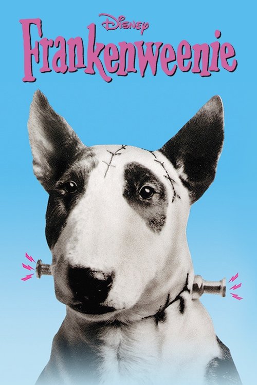 Movie poster for Frankenweenie (1984)