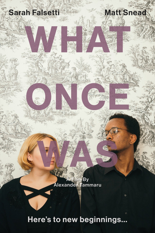 Movie poster for What Once Was