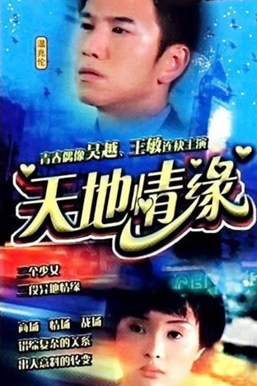 天地情缘 poster