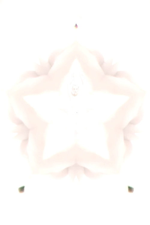 Movie poster for Flower of Flesh, Celestial Body (2023)