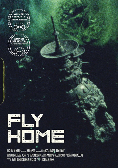 Movie poster for Fly Home (2021)