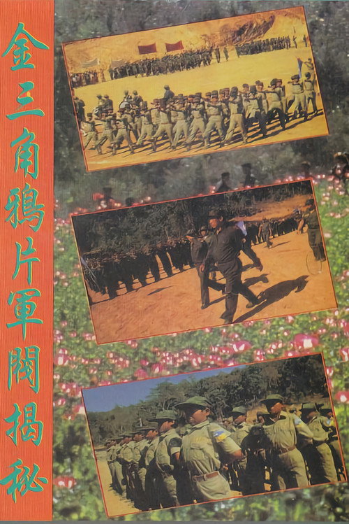 Movie poster for Warlords of the Golden Triangle (1987)
