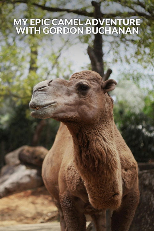 Movie poster for My Epic Camel Adventure With Gordon Buchanan (2024)