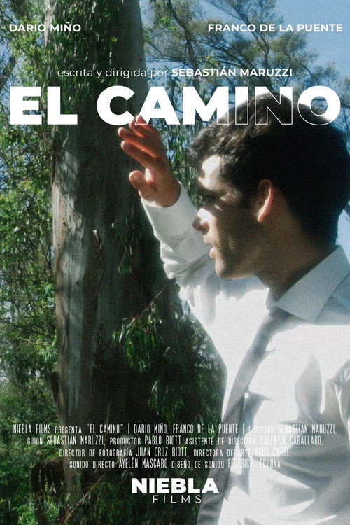 Movie poster for El camino (2022)