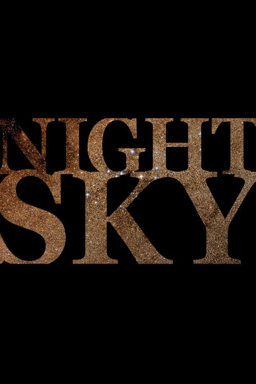 Movie poster for Night Sky (2011)