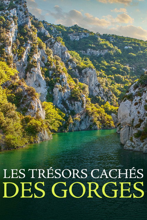Movie poster for Les Trésors cachés des gorges (2022)