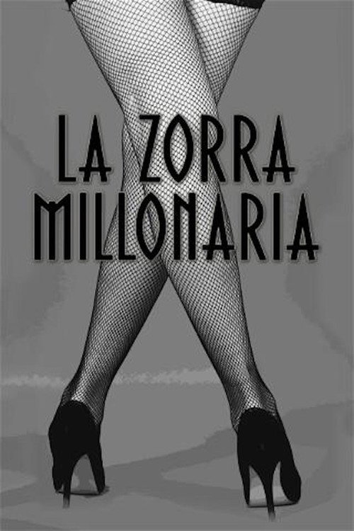 Movie poster for La zorra millonaria (2013)