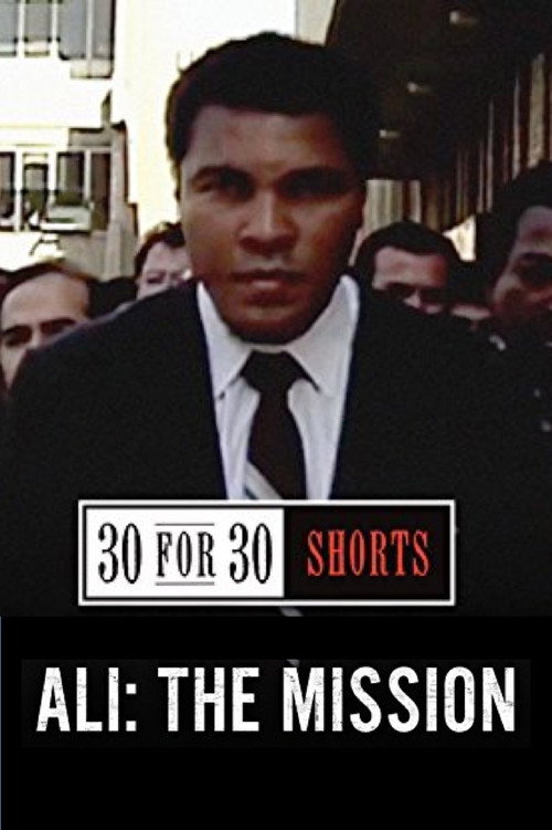 Movie poster for Ali: The Mission (2013)