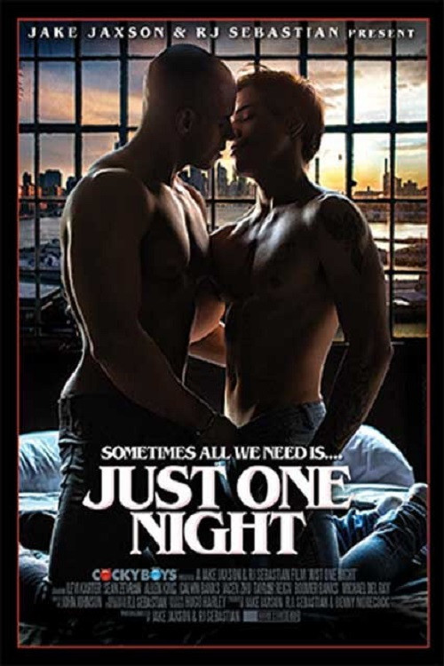 Movie poster for Just One Night (2018)
