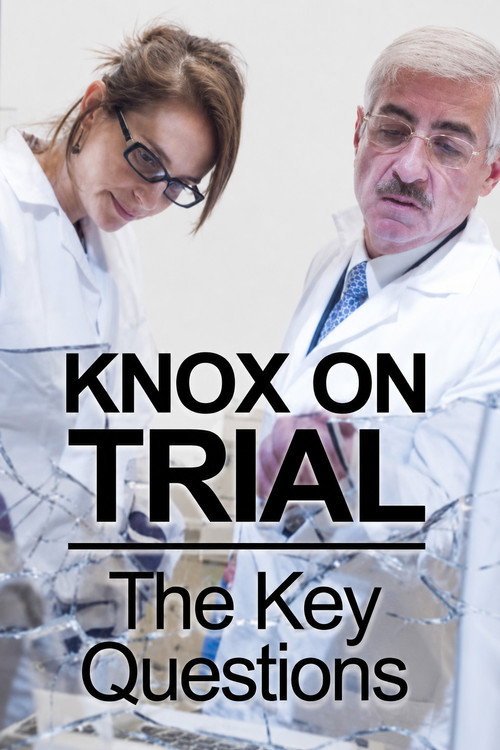 Movie poster for Amanda Knox Trial: 5 Key Questions (2013)