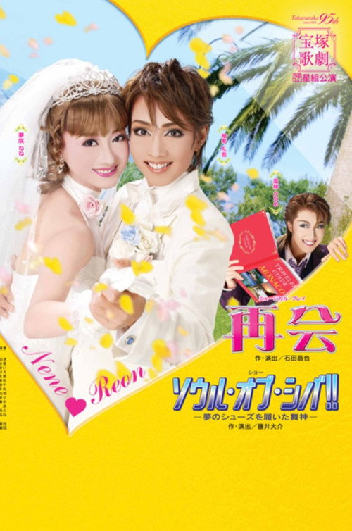Movie poster for Meet Again (2009)