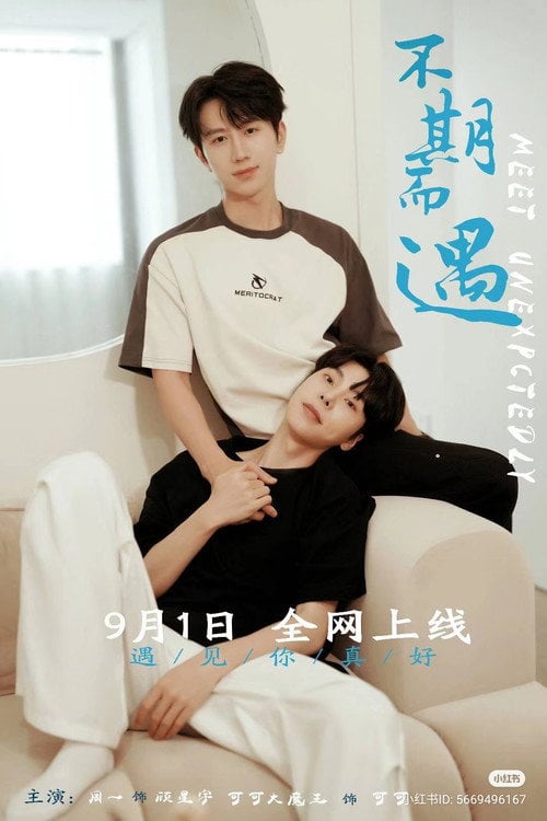 Series poster for Meet Unexpectedly (2024)