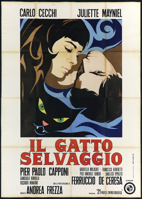 Movie poster for The Wild Cat (1968)