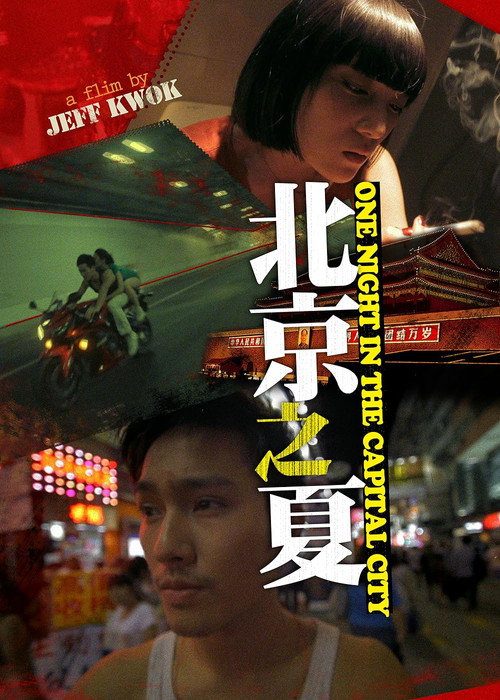 Movie poster for One Night in the Capital City (2012)