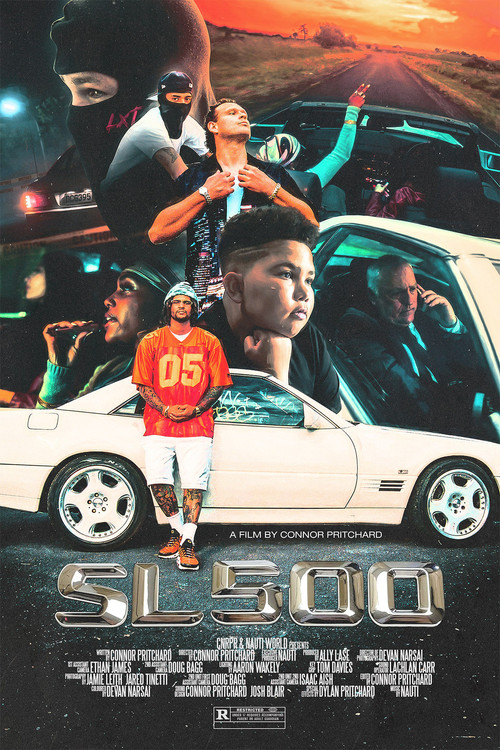 Movie poster for SL500 (2024)
