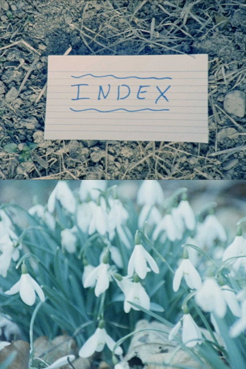 Movie poster for Index (2018)