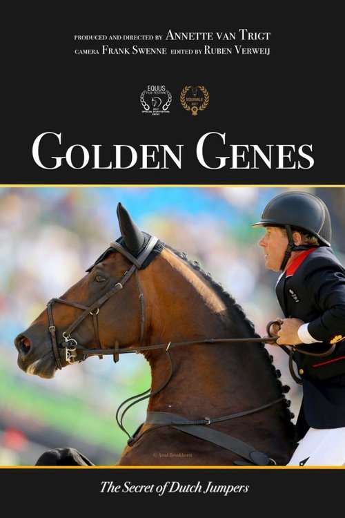 Movie poster for Golden Genes: The secret of Dutch jumpers (2017)