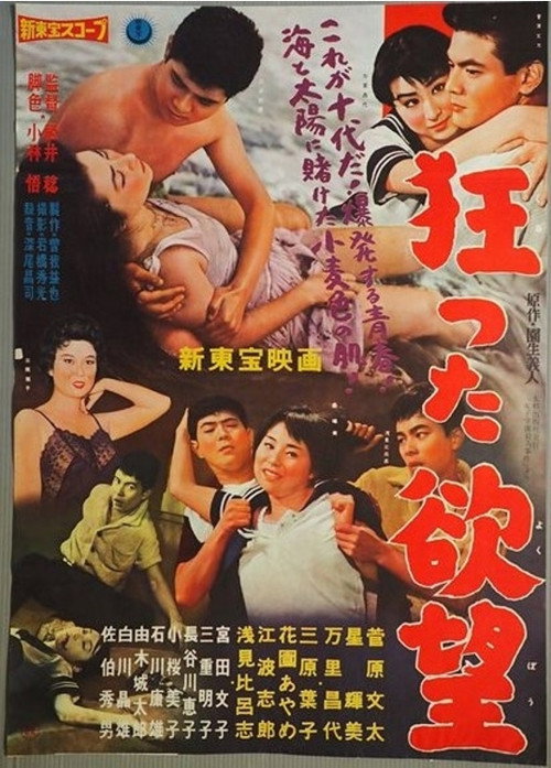 Movie poster for Crazy Desire (1959)