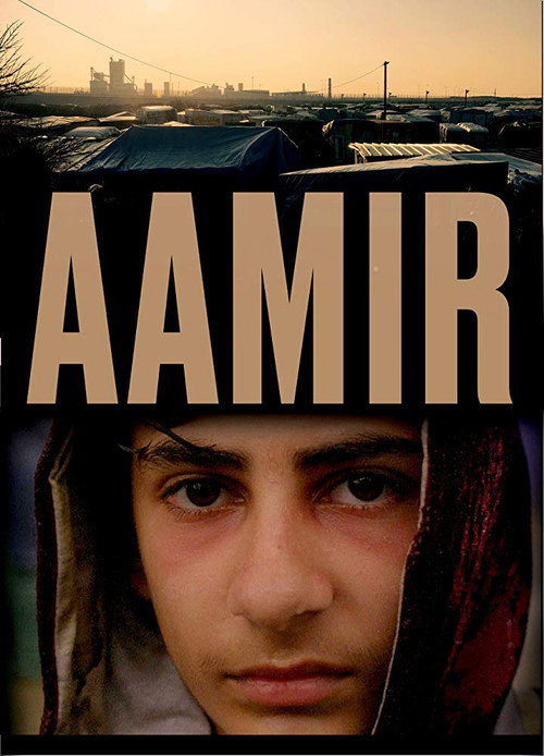 Movie poster for Aamir (2017)