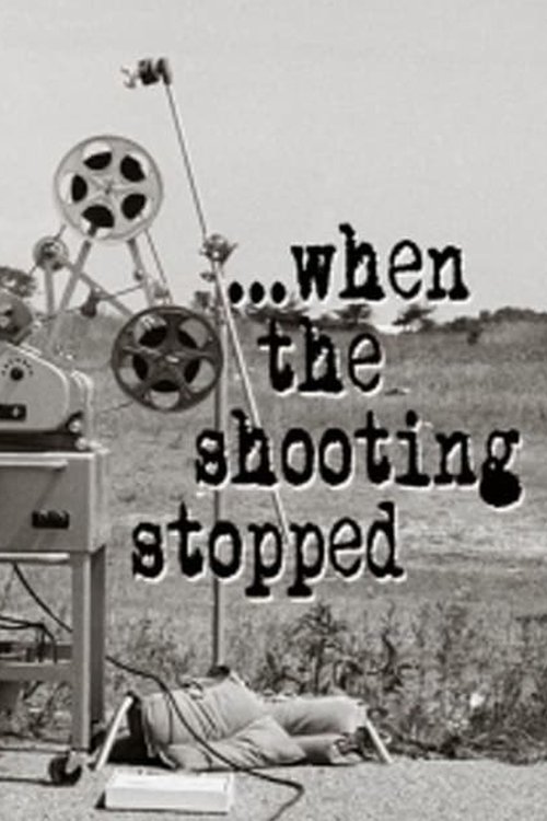 Movie poster for The Godfather: When the Shooting Stopped (2008)