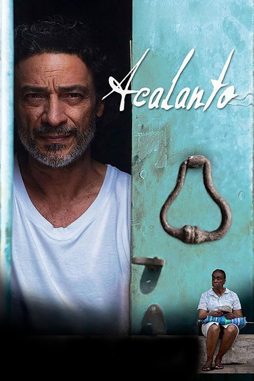 Movie poster for Acalanto (2013)
