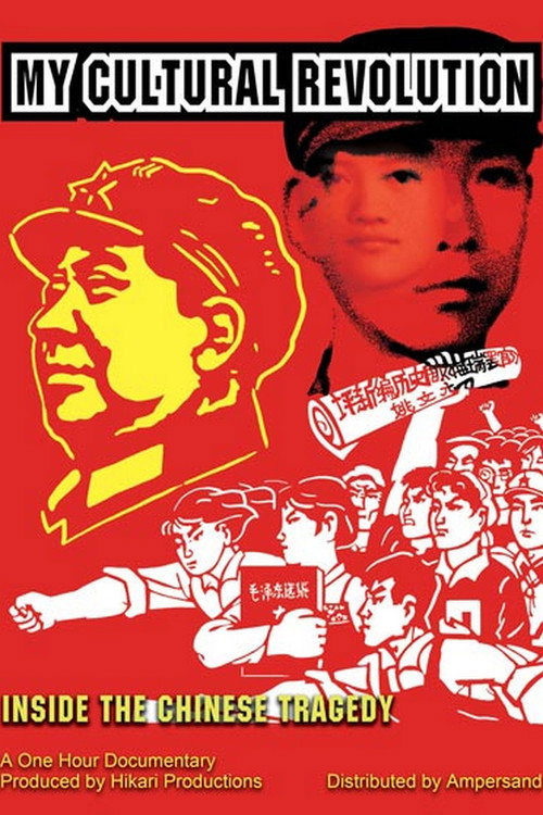 Movie poster for Ma révolution culturelle (2014)