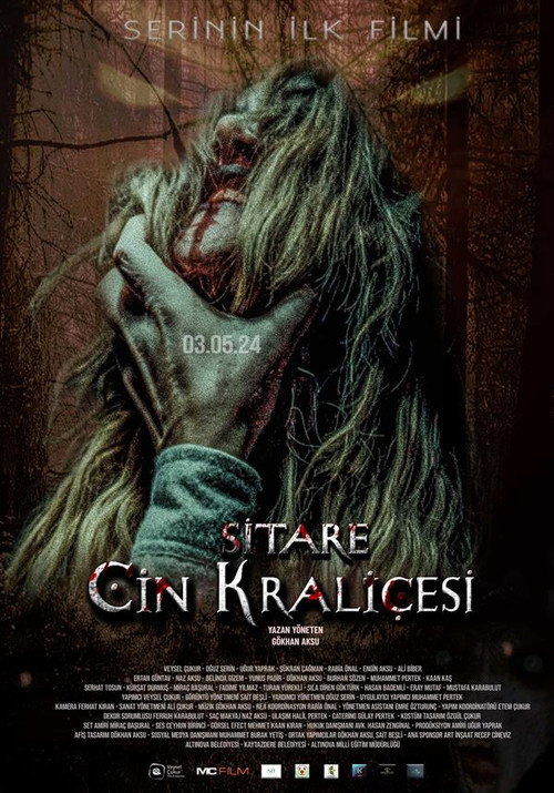 Movie poster for Sitare: Cin Kraliçesi (2025)