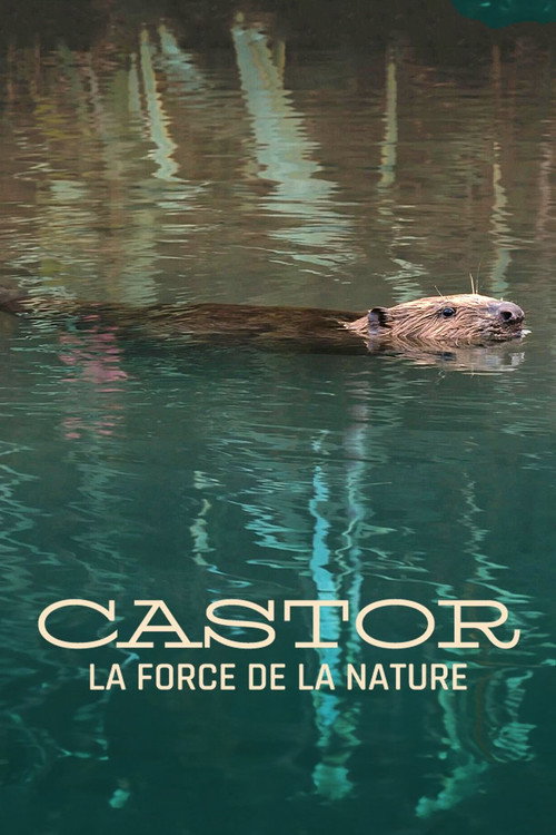 Movie poster for Castor, la force de la nature (2023)