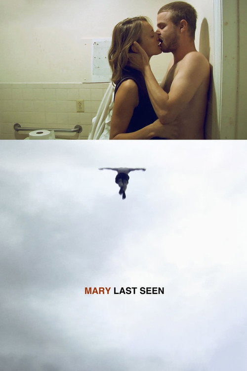 Movie poster for Mary Last Seen (2010)