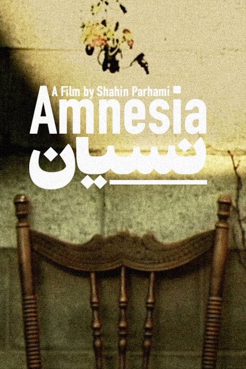 Movie poster for Amnesia (2002)