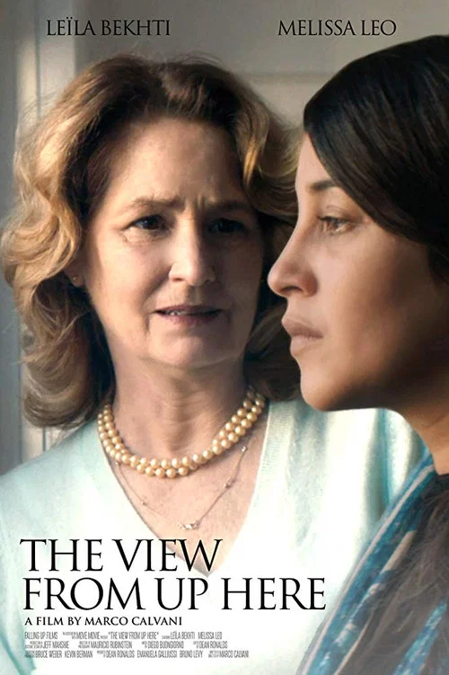 Movie poster for The View from Up Here (2017)