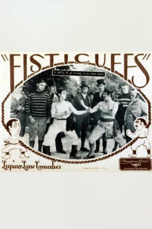 Movie poster for Fisticuffs (1928)