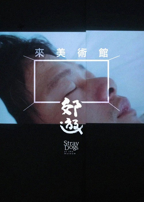 Movie poster for Stray Dogs at the Museum