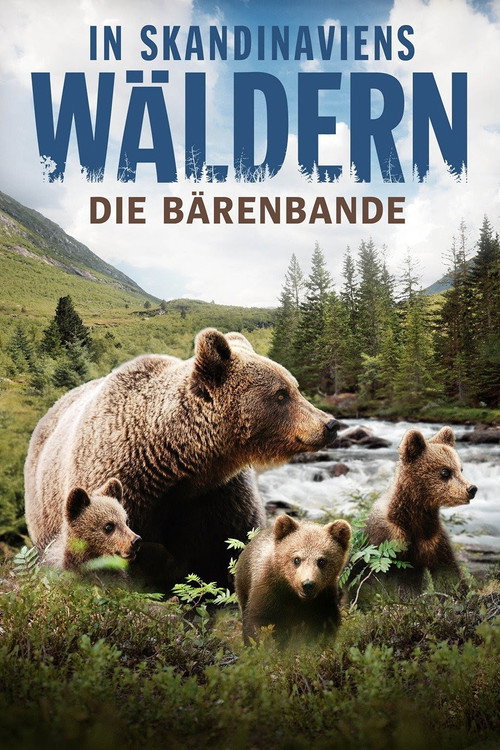 Movie poster for In Skandinaviens Wäldern - Die Bärenbande (2016)