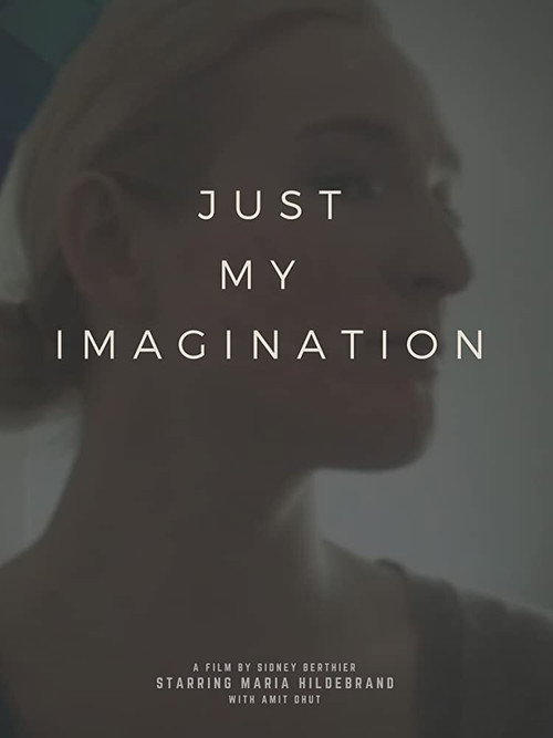 Movie poster for Just My Imagination (2017)