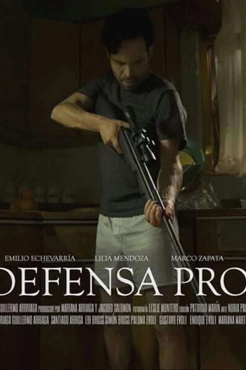 Movie poster for In Self Defense (2015)