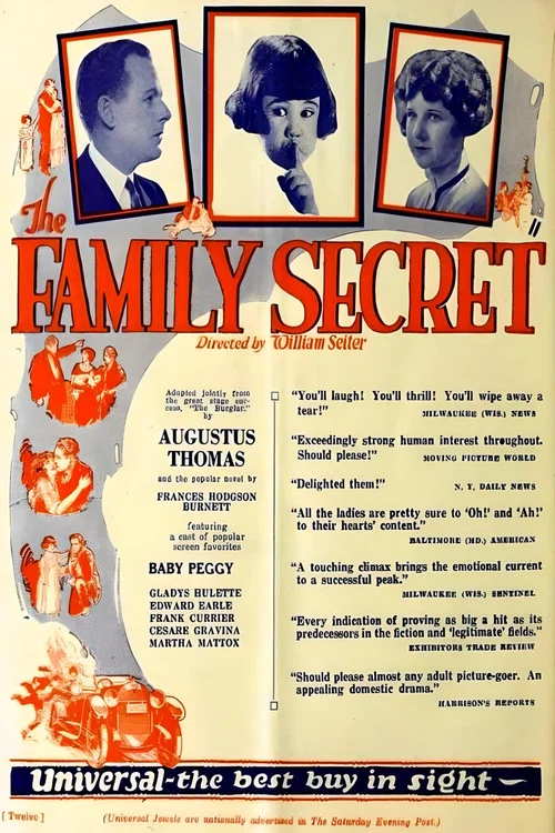 Movie poster for The Family Secret (1924)