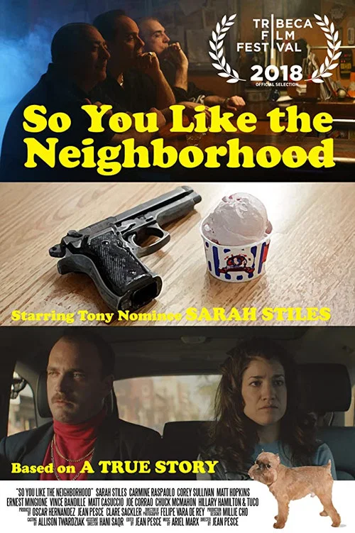 Movie poster for So You Like the Neighborhood (2018)