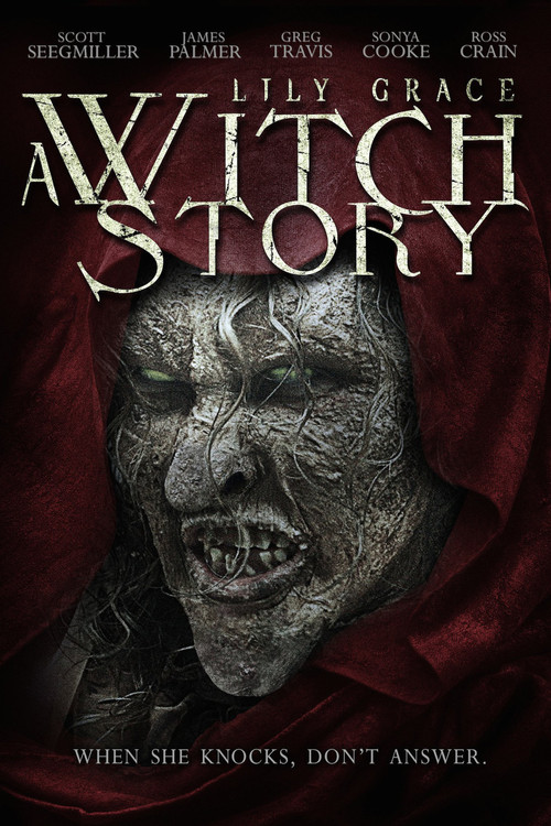 Movie poster for Lily Grace: A Witch Story (2015)