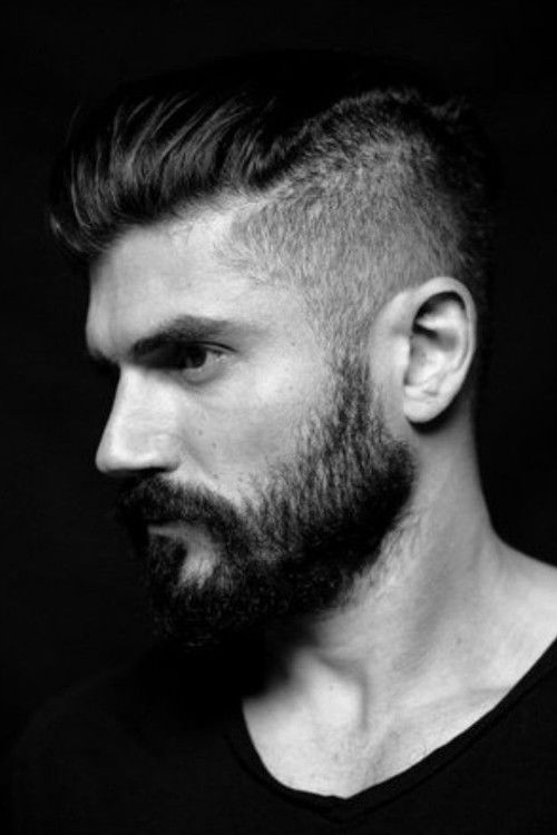 Photo of Andrew Levitas, Acting