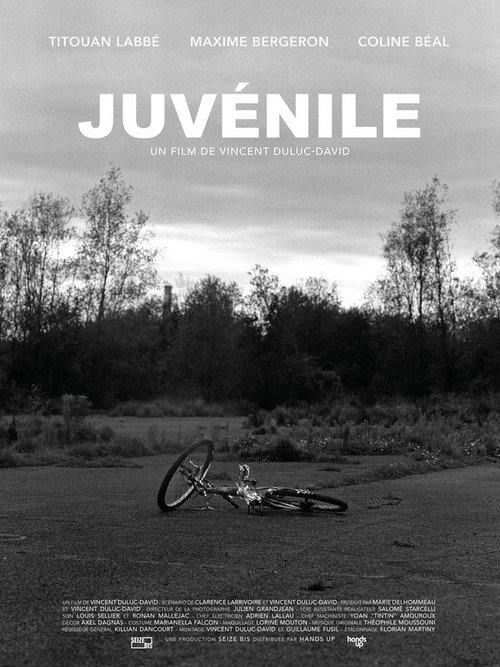 Movie poster for Youthful (2021)