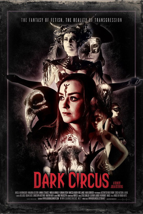 Movie poster for Dark Circus (2016)