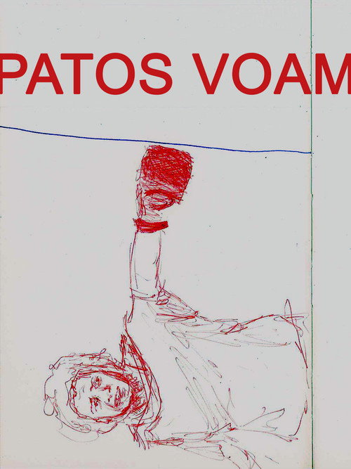 Movie poster for Patos Voam (2015)