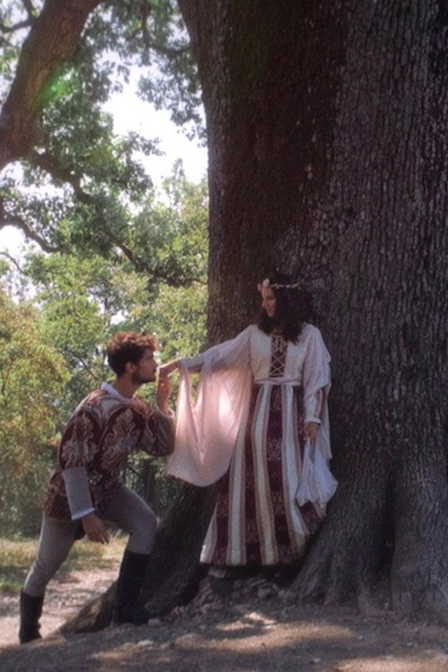 Movie poster for Tale of The Great Oak (2022)