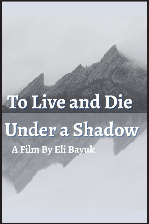 Movie poster for To Live and Die Under a Shadow
