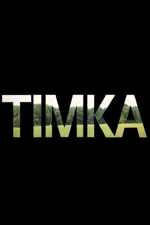 Movie poster for Timka (2012)